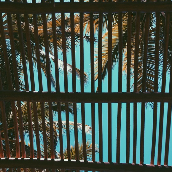 Meet your Posher, Layne - Picture 1 of 1